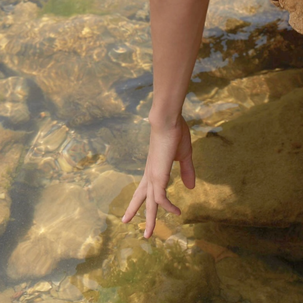 Deodorant mı, Antiperspirant mı? Farkları ve Cildimize Etkileri