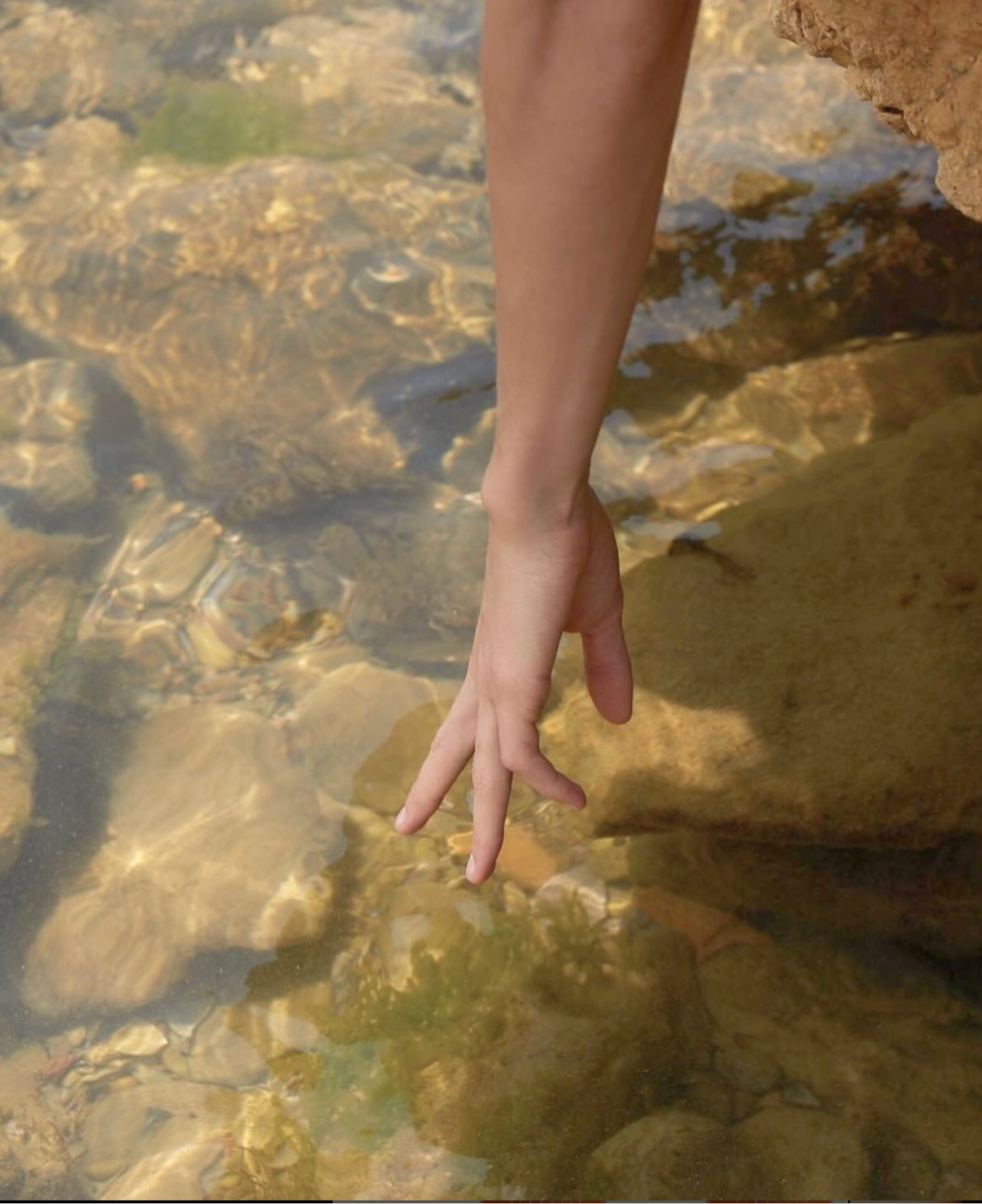 Deodorant mı, Antiperspirant mı? Farkları ve Cildimize Etkileri